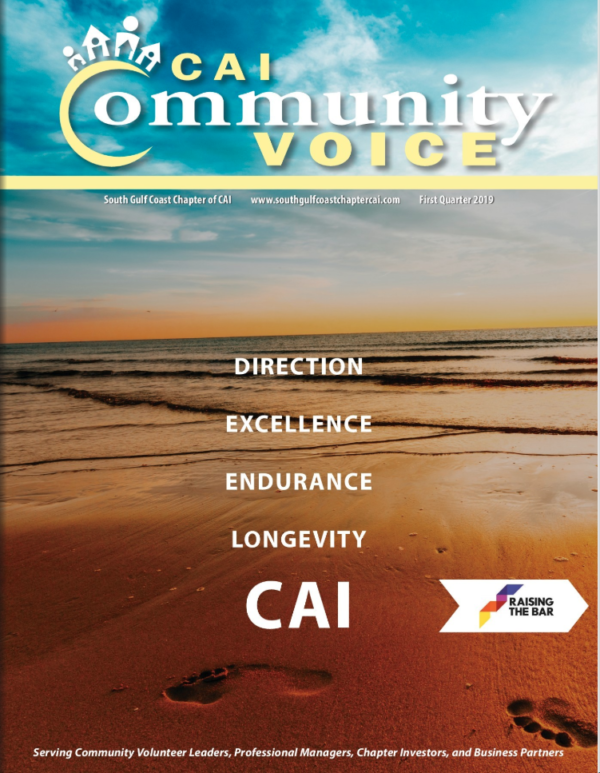 CAI-Community-Voice-Cover-600x773-1