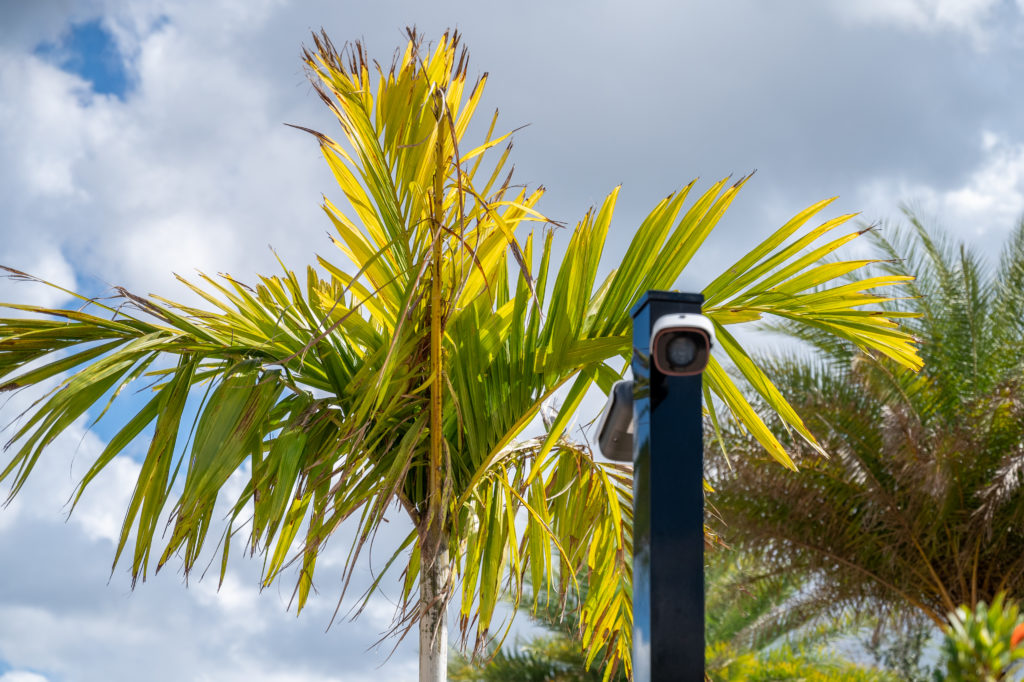 Camera Surveillance